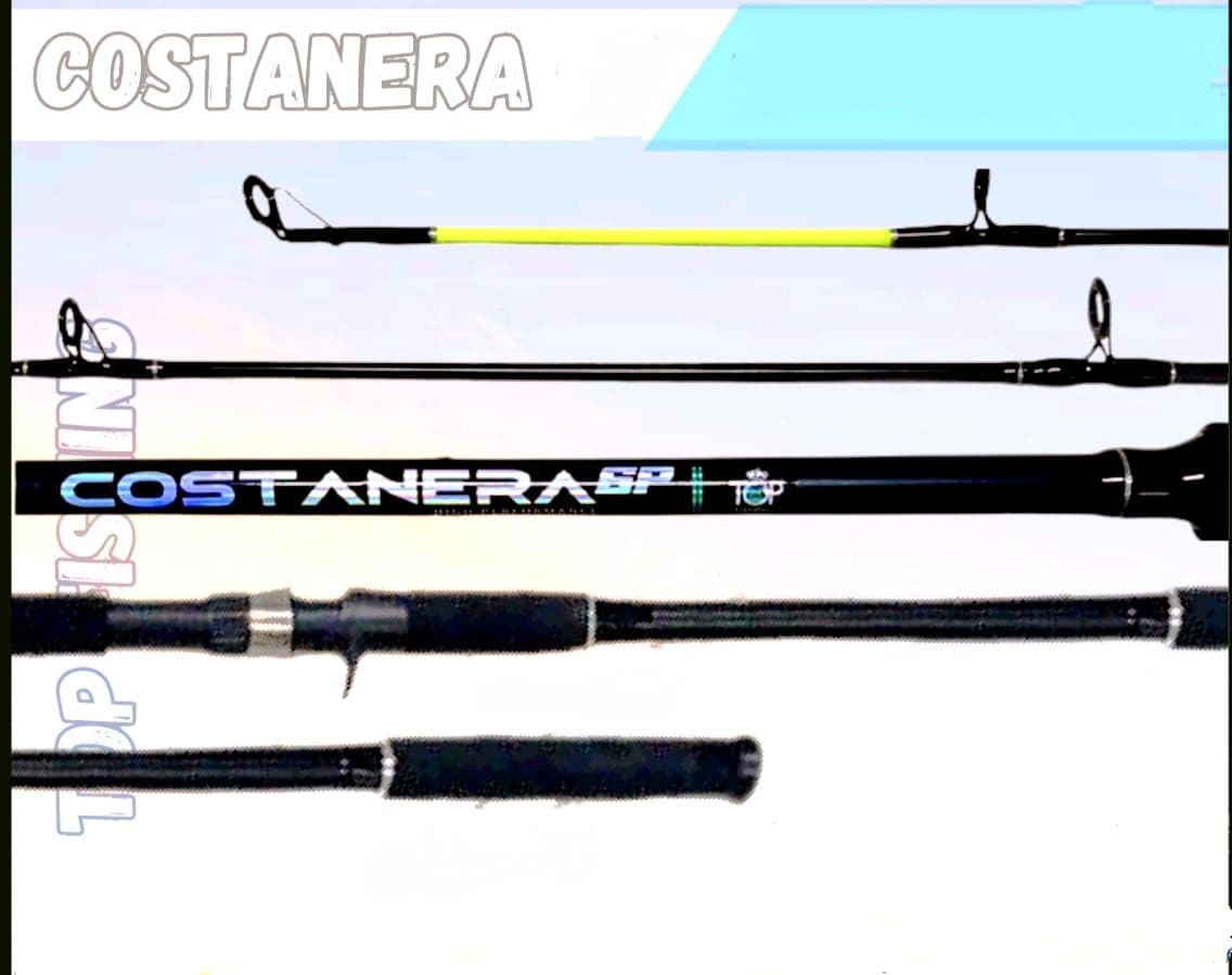 CAÑA TOP FISHING COSTANERA BC 2.40M
